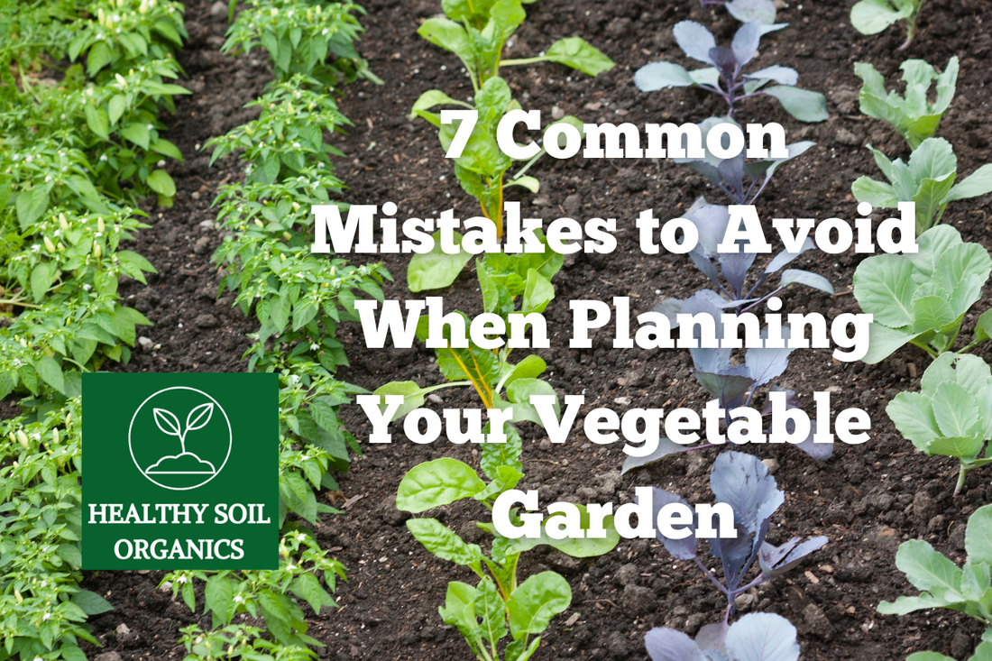 Avoid These 7 Common Mistakes When Planning Your Vegetable Garden