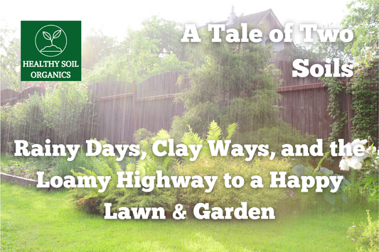 A Tale of Two Soils: Rainy Days, Clay Ways, and the Loamy Highway to a Happy Lawn & Garden