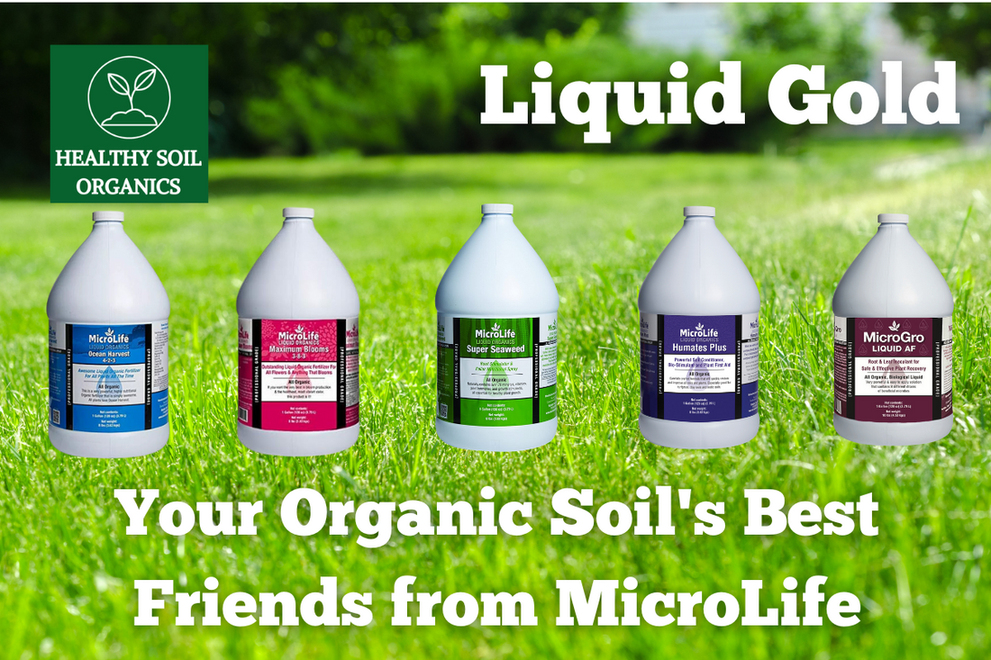 Liquid Gold: Your Organic Soil's Best Friends from MicroLife