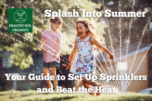 Splash Into Summer: Your Guide to Set Up Sprinklers and Beat the Heat