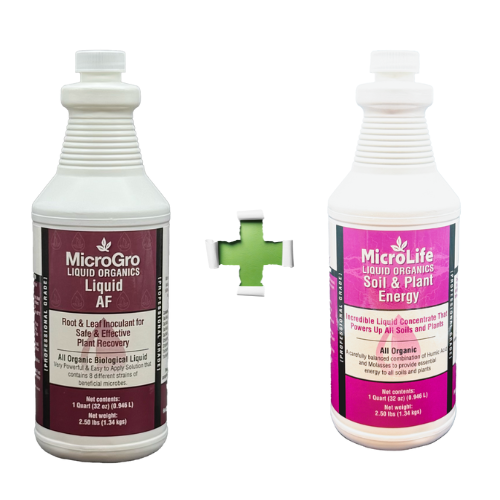 The Disease Fighter Combo