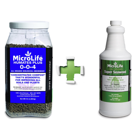 Super Start Value Bundle