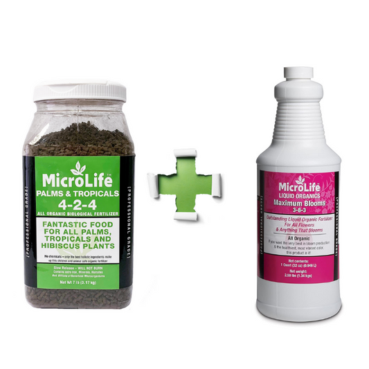 The Palm Tree, Tropical Plant and Hibiscus Combo