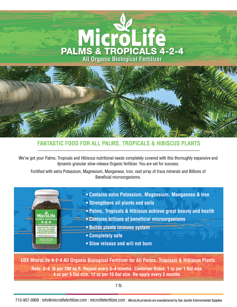The Palm Tree, Tropical Plant and Hibiscus Combo