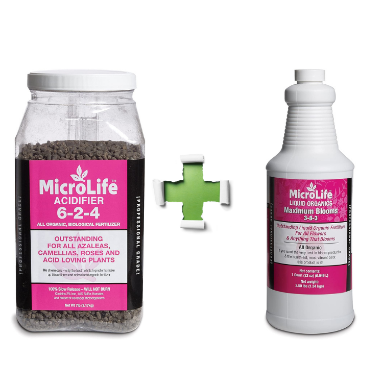 best chemical fertilizer for rose plant MicroLife Fertilizer
