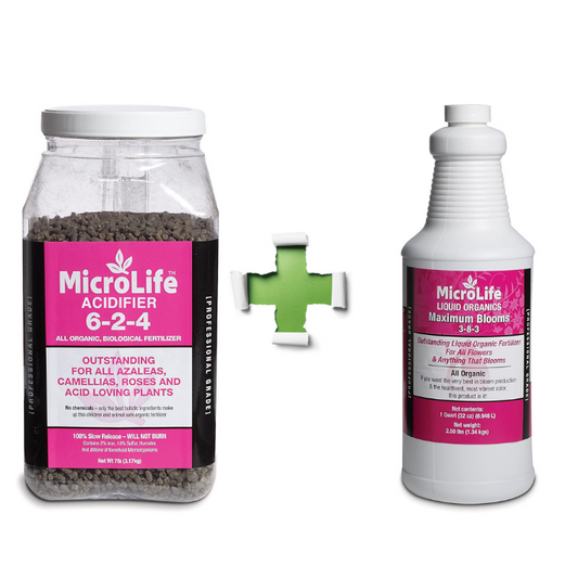 The Rose and Azalea Combo