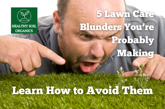 5 Lawn Care Blunders You're Probably Making: Learn How to Avoid Them