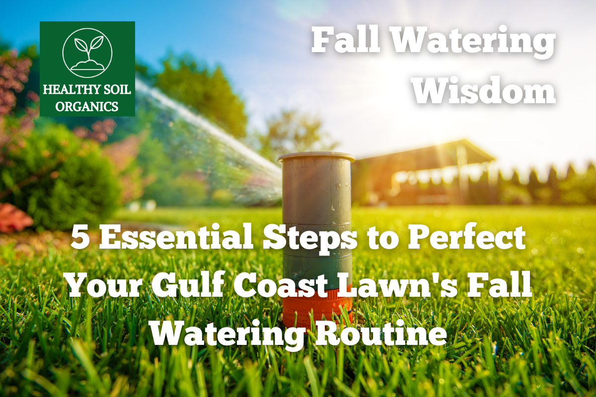 5 Essential Steps to Perfect Your Gulf Coast Lawn's Fall Watering Rout ...
