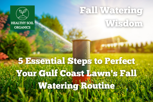 5 Essential Steps to Perfect Your Gulf Coast Lawn's Fall Watering Routine