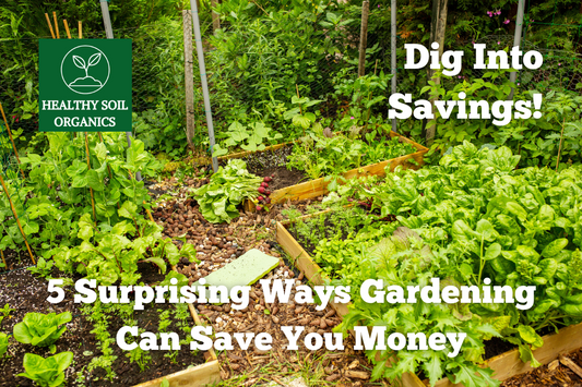 Dig Into Savings: Five Surprising Ways Gardening Can Save You Money