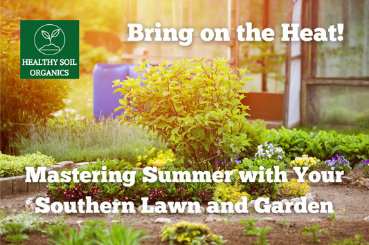 Bring on the Heat: Mastering Summer with Your Southern Lawn and Garden