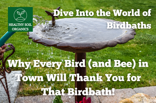 Why Every Bird (and Bee) in Town Will Thank You for That Birdbath!