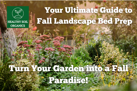 Your Ultimate Guide to Fall Landscape Bed Prep: Turn Your Garden into a Fall Paradise!