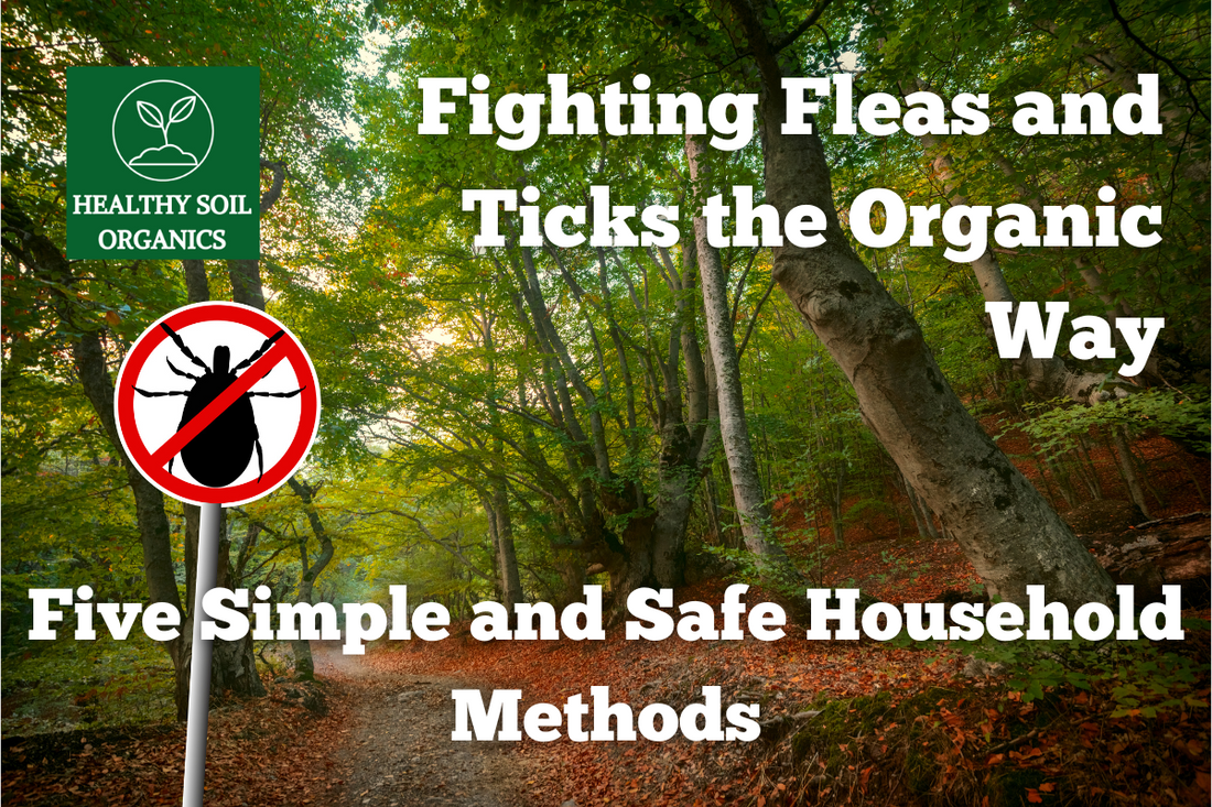 Fighting Fleas and Ticks the Organic Way: Five Simple and Safe Household Methods