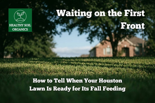 Waiting on the first front for Houston fall feeding — Healthy Soil Organics
