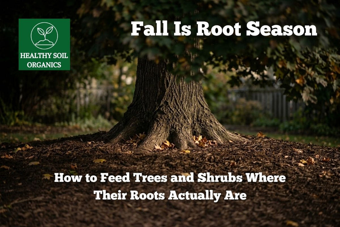 Fall is root season for trees and shrubs — Healthy Soil Organics