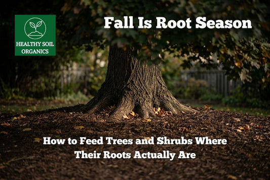 Fall is root season for trees and shrubs — Healthy Soil Organics