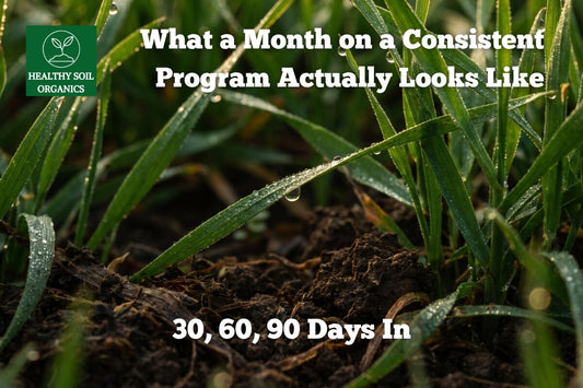 30, 60, 90 days on a consistent lawn program — Healthy Soil Organics