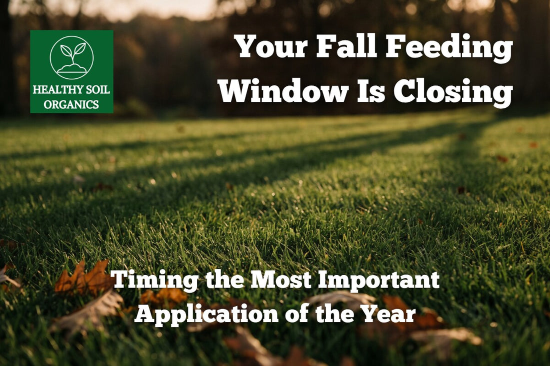 Fall feeding window closing for Houston lawns — Healthy Soil Organics