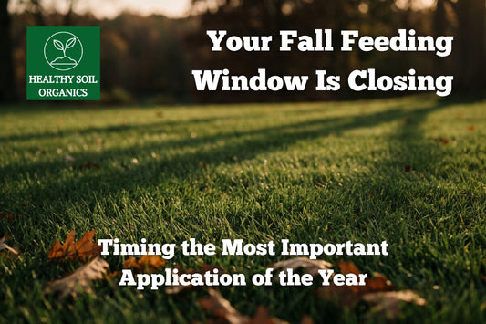 Fall feeding window closing for Houston lawns — Healthy Soil Organics