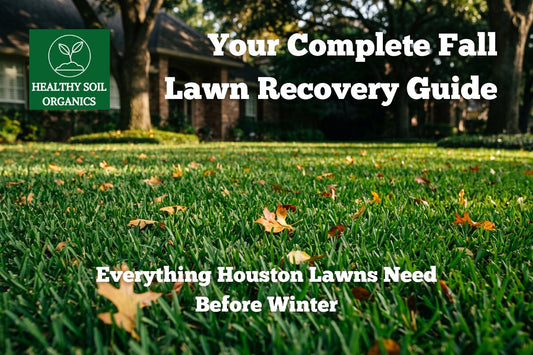 Complete fall lawn recovery guide — Healthy Soil Organics