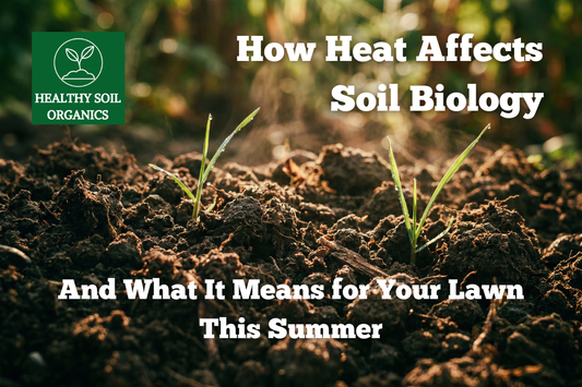 How Heat Affects Soil Biology — And What It Means for Your Lawn This Summer
