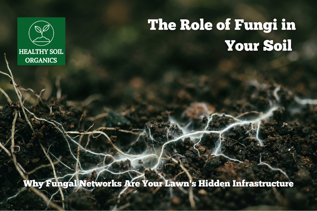 The Role of Fungi in Your Soil — Why Fungal Networks Are Your Lawn's Hidden Infrastructure