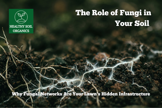 The Role of Fungi in Your Soil — Why Fungal Networks Are Your Lawn's Hidden Infrastructure
