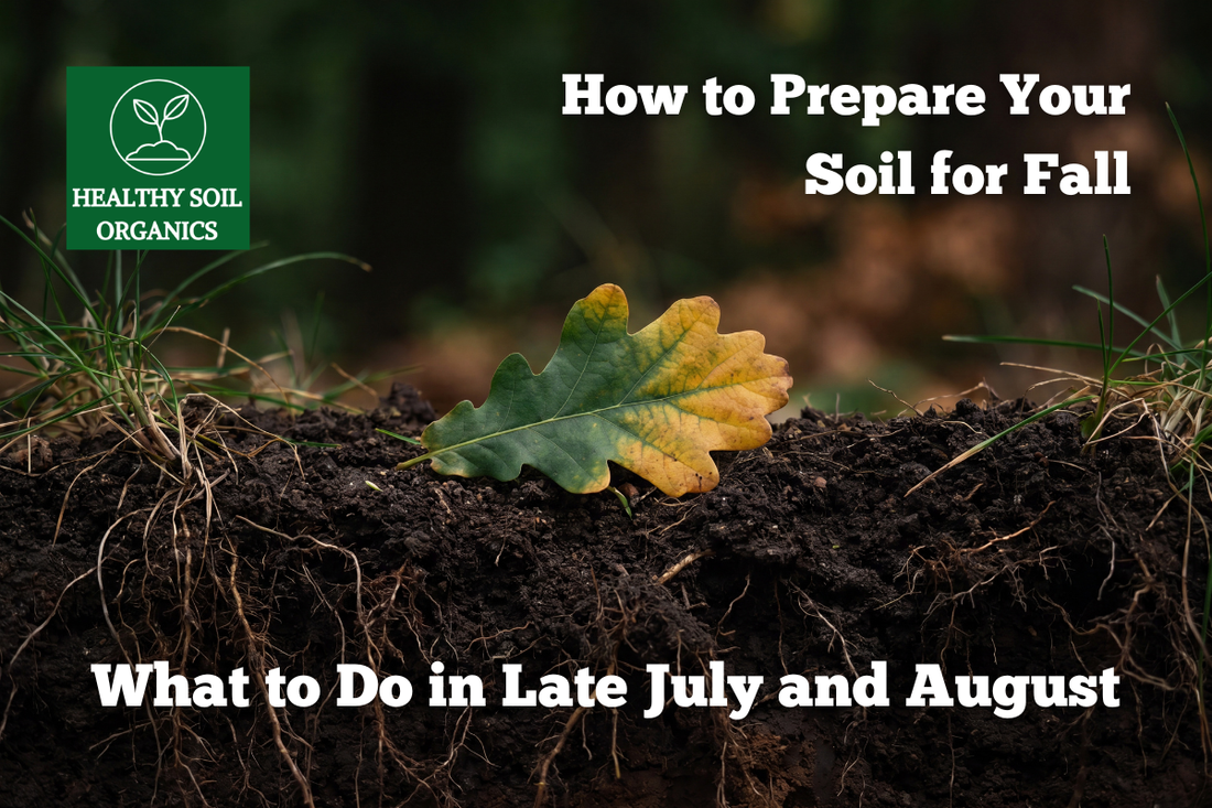 How to Prepare Your Soil for Fall — What to Do in Late July and August