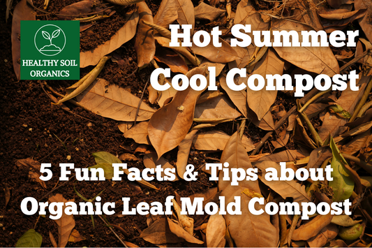 Hot Summer, Cool Compost: 5 Fun Facts & Tips about Organic Leaf Mold Compost
