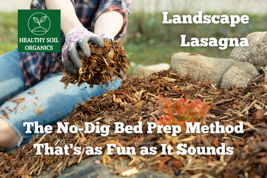 "Landscape Lasagna": The No-Dig Bed Prep Method That's as Fun as It Sounds!