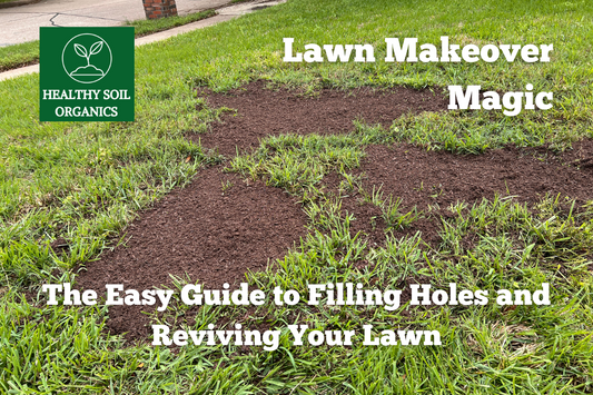 Lawn Makeover Magic: The Easy Guide to Filling Holes and Reviving Your Lawn