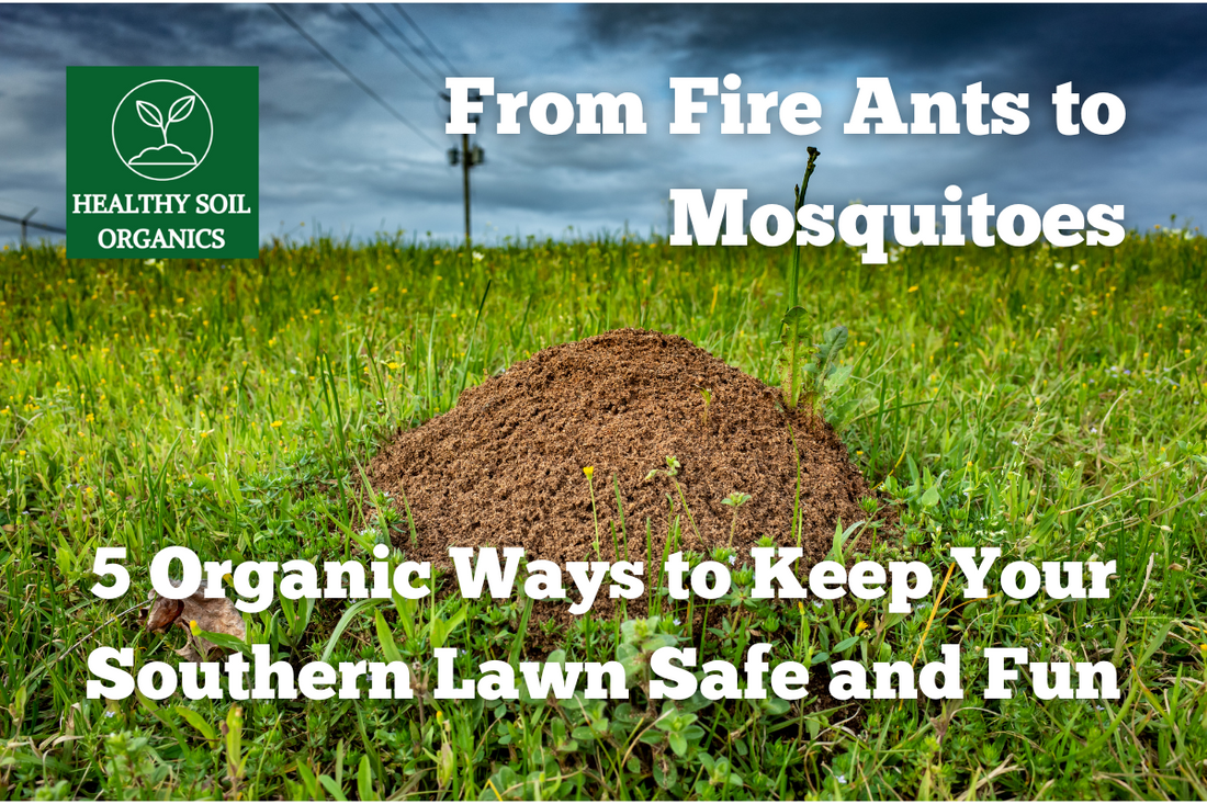 From Fire Ants to Mosquitoes: 5 Organic Ways to Keep Your Southern Lawn Safe and Fun