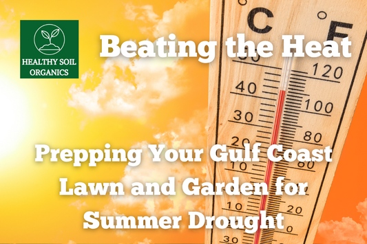 Beating the Heat: Prepping Your Gulf Coast Lawn and Garden for the Summer Drought with Healthy Soil Organics