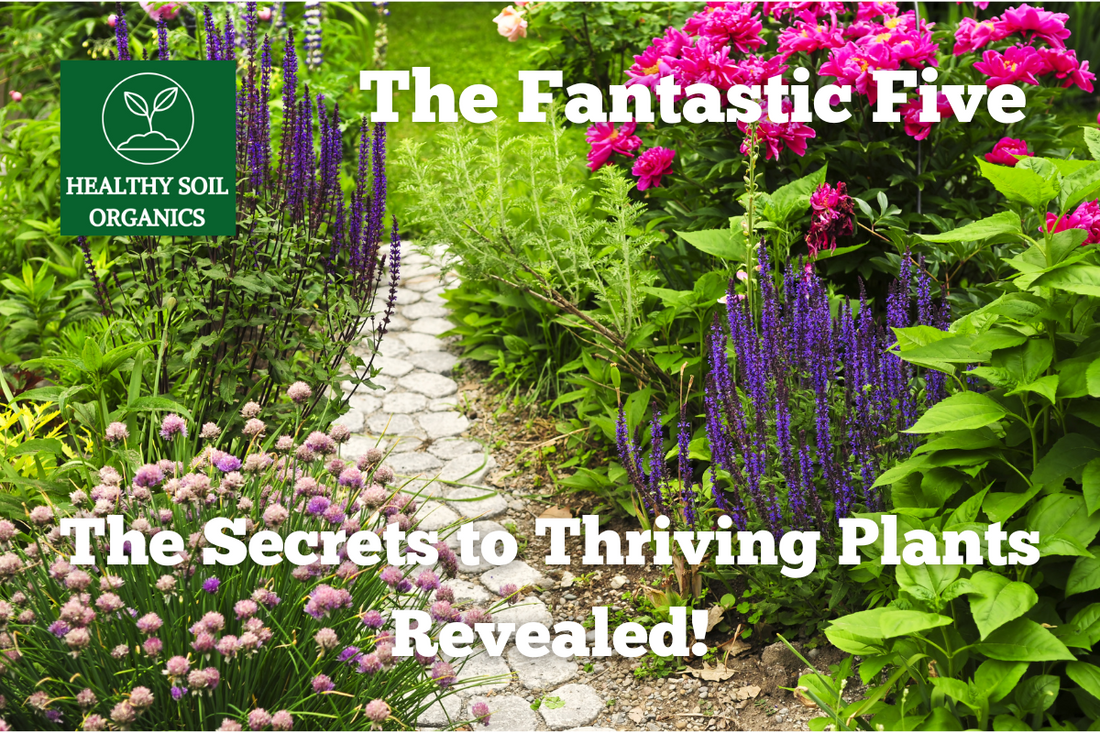 The Fantastic Five: The Secrets to Thriving Plants Revealed!
