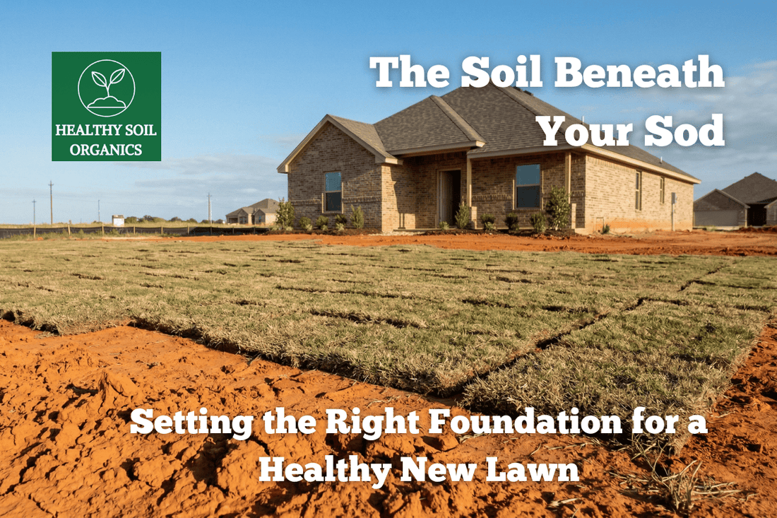 The Soil Beneath Your Sod: Setting the Right Foundation for a Healthy New Lawn