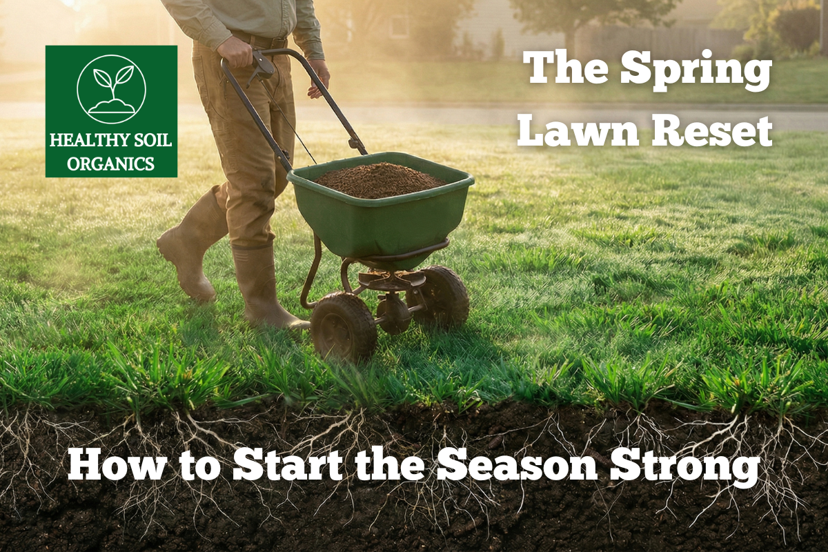 Spring Lawn Care Guide: Build Strong Soil with Organic Granular ...