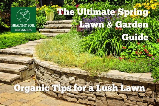 The Ultimate Spring Lawn & Garden Guide: Organic Tips for a Lush Yard