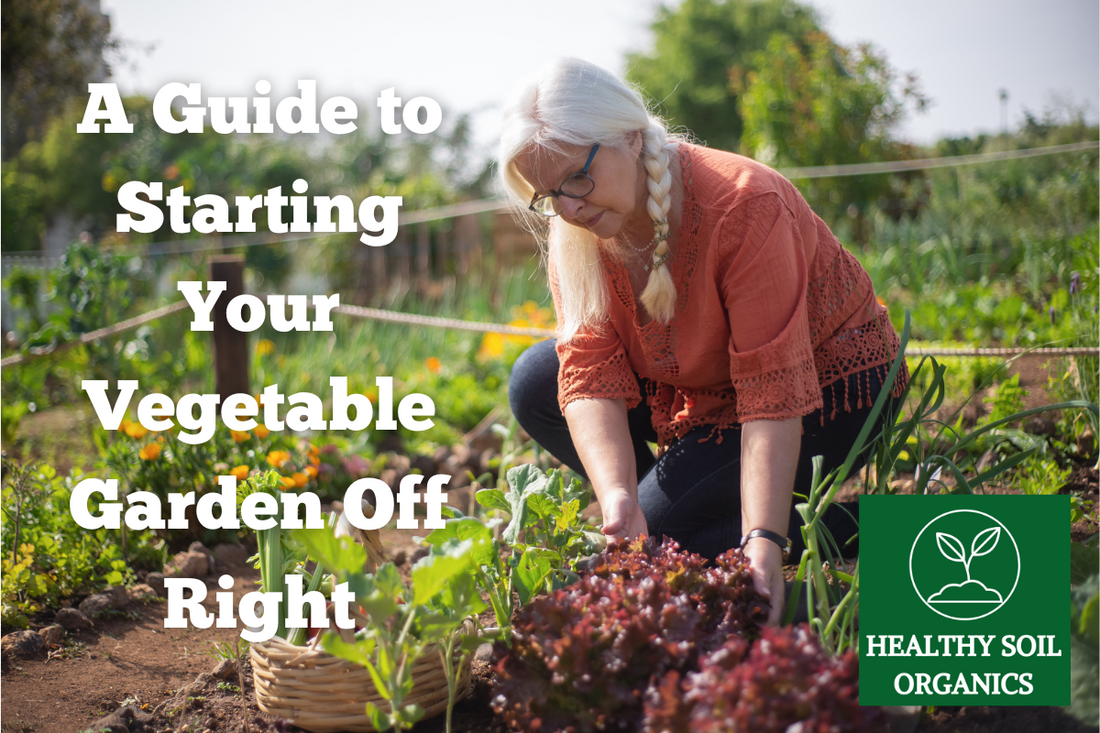 Getting Your Organic Vegetable Garden Ready for Spring: Seven Tips for Growing Healthy, Pest-Free Vegetables