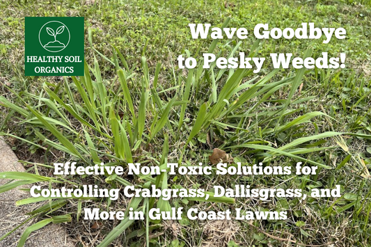 Wave Goodbye to Pesky Weeds! Effective Non-Toxic Solutions for Controlling Crabgrass, Dallisgrass, and More in Gulf Coast Lawns