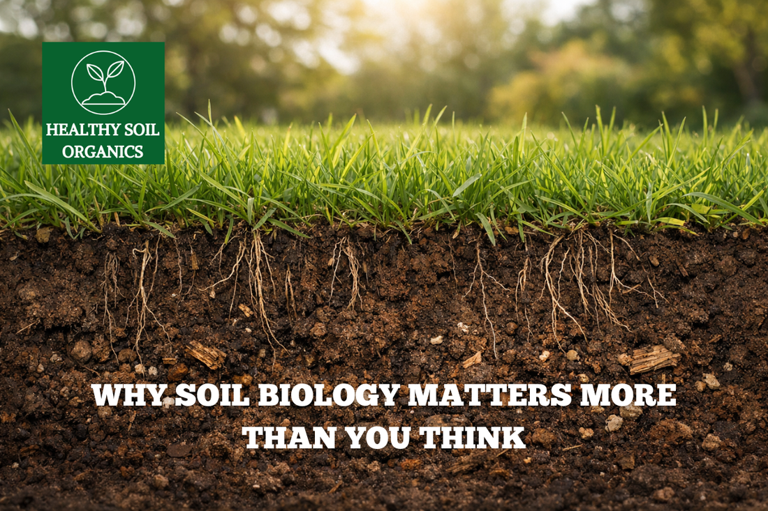 Why Soil Biology Matters More Than You Think