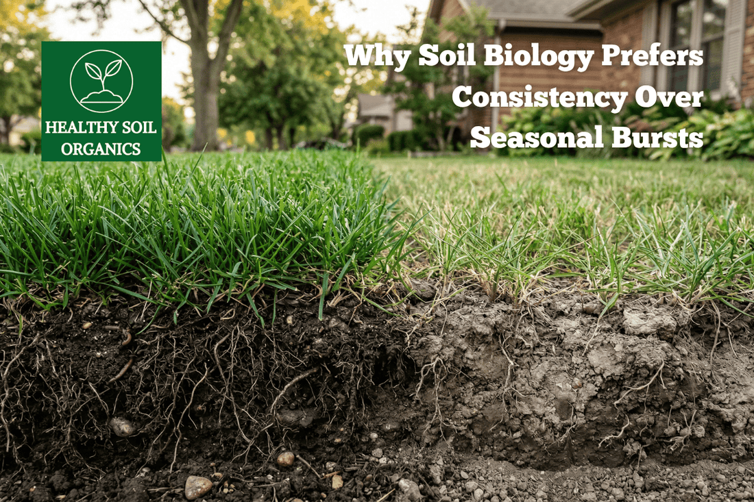 Why Soil Biology Prefers Consistency Over Seasonal Bursts