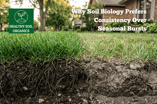 Why Soil Biology Prefers Consistency Over Seasonal Bursts