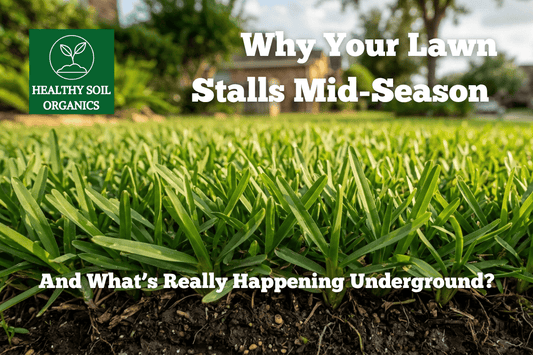 Why Your Lawn Stalls Mid-Season — And What's Really Happening Underground