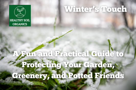 Winter’s Touch: A Fun and Practical Guide to Protecting Your Garden, Greenery, and Potted Friends