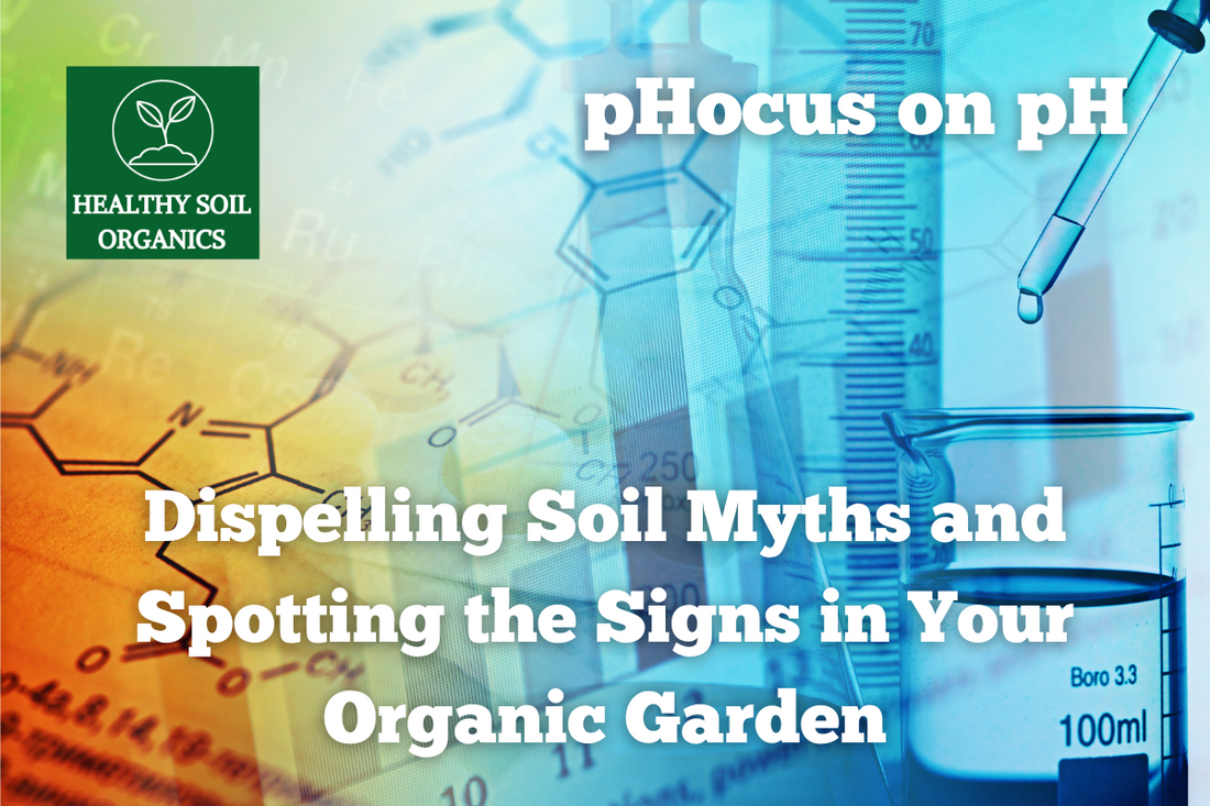 The pHocus on pH: Dispelling Soil Myths and Spotting the Signs in Your Organic Garden