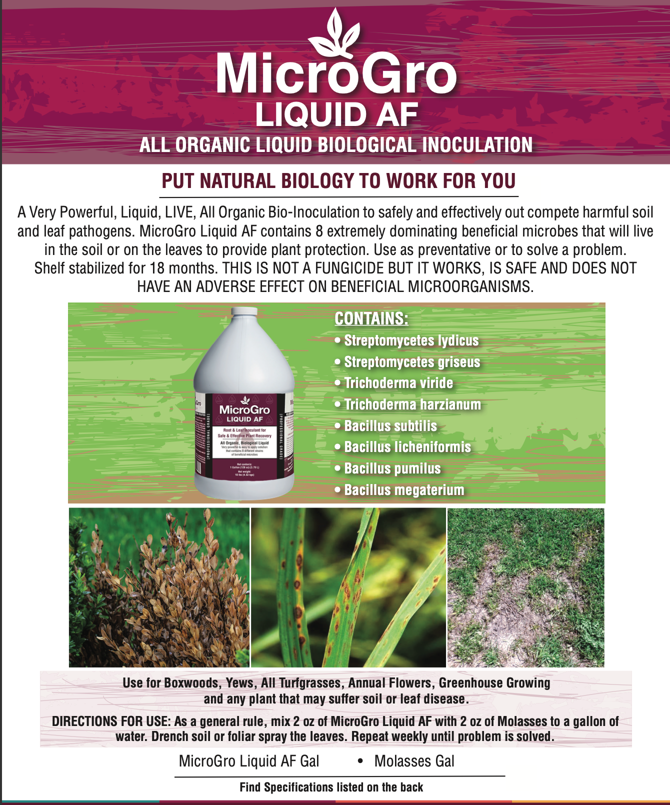MicroLife MicroGro Liquid AF | 1 Gallon